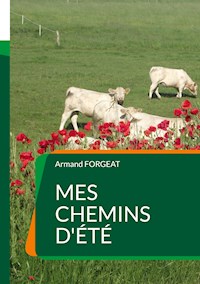 Mes chemins d'été - Armand Forgeat - E-Book