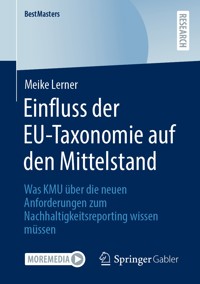 Einfluss der EU-Taxonomie auf den Mittelstand - Meike Lerner - E-Book
