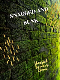 Snagged And Sunk - Harry Castlemon - E-Book
