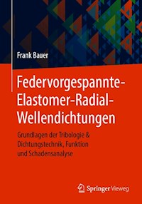 Federvorgespannte-Elastomer-Radial-Wellendichtungen - Frank Bauer - E-Book