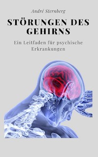 Störungen des Gehirns - Andre Sternberg - E-Book