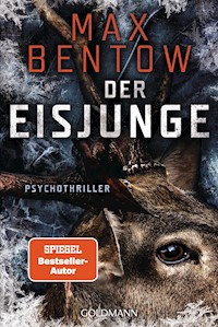 Der Eisjunge - Max Bentow - E-Book
