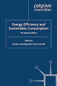 Energy Efficiency and Sustainable Consumption -  - E-Book
