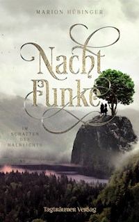 Nachtfunke 2 - Marion Hübinger - E-Book