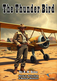 The Thunder Bird - B.m. Bower - E-Book