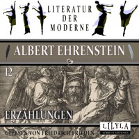 Erzählungen 12 - Albert Ehrenstein - Hörbuch