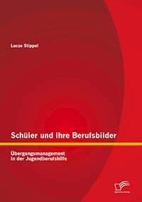 Schüler und Ihre Berufsbilder: Übergangsmanagement in der Jugendberufshilfe - Lucas Stippel - E-Book