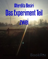 Das Experiment Teil zwei - Aferdita Beciri - E-Book