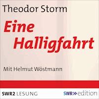 Eine Halligfahrt - Theodor Storm - Hörbuch