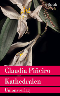 Kathedralen - Claudia Piñeiro - E-Book