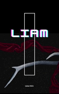 Liam - Lukas Kohn - E-Book
