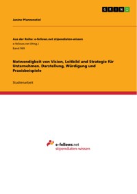 Notwendigkeit von Vision, Leitbild und Strategie für Unternehmen. Darstellung, Würdigung und Praxisbeispiele - Janine Pfannenstiel - E-Book