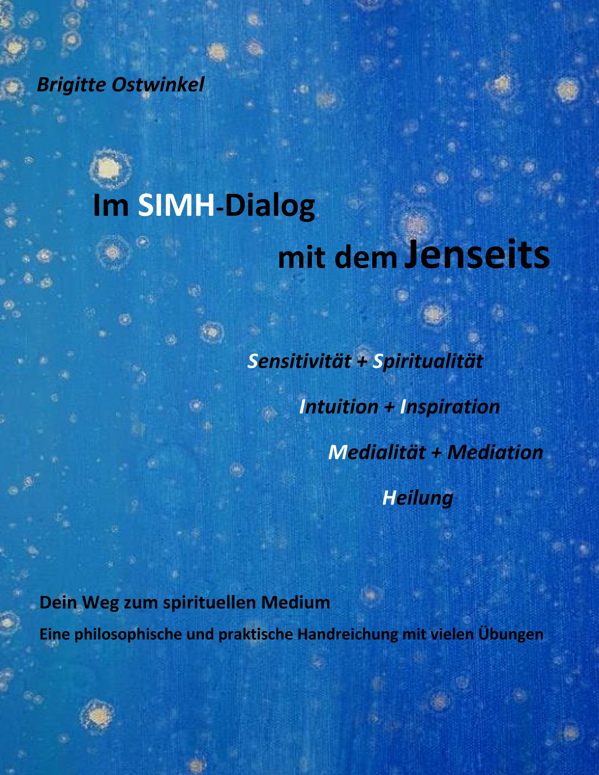 Im SIMH-Dialog mit dem Jenseits - Brigitte Ostwinkel - E-Book