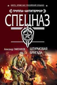 Штурмовая бригада - Тамоников Александр - E-Book