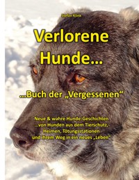 Verlorene Hunde - Stefan Klink - E-Book
