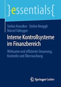 Interne Kontrollsysteme im Finanzbereich - Stefan Hunziker - E-Book