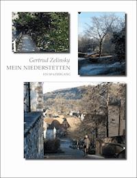 Mein Niederstetten - Gertrud Zelinsky - E-Book