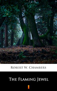 The Flaming Jewel - Robert W. Chambers - E-Book
