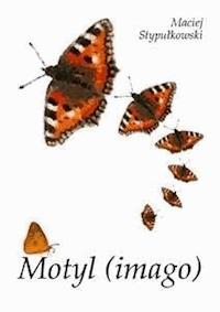 Motyl (imago) - Maciej Stypułkowski - E-Book