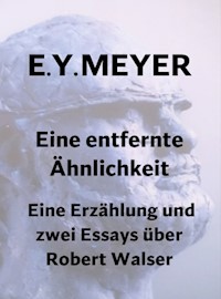 Eine entfernte Ähnlichkeit - E. Y. Meyer - E-Book