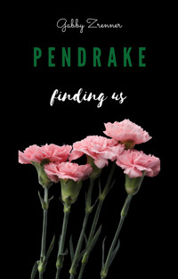 Pendrake 3- finding us - Gabby Zrenner - E-Book