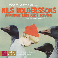 Nils Holgerssons wunderbare Reise durch Schweden (Ungekürzt) - Selma  Lagerlöf - Hörbuch