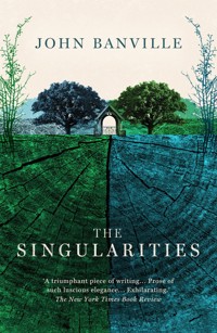 The Singularities - John Banville - E-Book