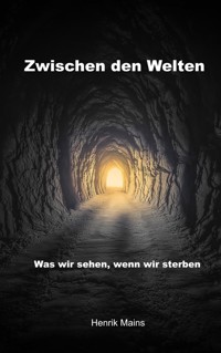 Zwischen den Welten - Henrik Mains - E-Book