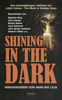 SHINING IN THE DARK - Stephen King - E-Book
