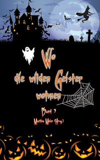 Wo die wilden Geister wohnen Band 3 - Martina Meier - E-Book