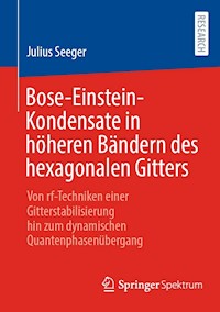 Bose-Einstein-Kondensate in höheren Bändern des hexagonalen Gitters - Julius Seeger - E-Book