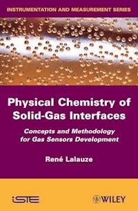 Physico-Chemistry of Solid-Gas Interfaces - Rene Lalauze - E-Book