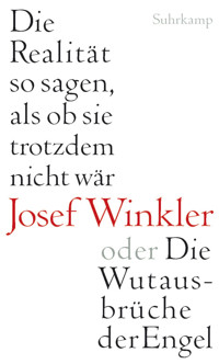 Die Realität so sagen, als ob sie trotzdem nicht wär oder Die Wutausbrüche der Engel - Josef Winkler - E-Book
