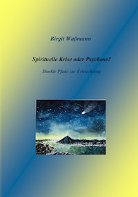 Spirituelle Krise oder Psychose? - Birgit Waßmann - E-Book