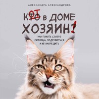 Кот в доме хозяин! Как понять своего питомца, подружиться и не навредить - Александра Александрова - Hörbuch