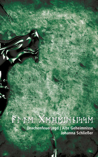 Drachenfeuerjagd. Alte Geheimnisse - Johanna Schließer - E-Book