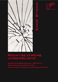 Rechtsextreme Jugendliche: Erkennungsmerkmale, Begriffe, Erklärungsansätze und schulische Handlungsmöglichkeiten - Enno Stiehm - E-Book