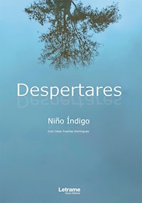 Despertares - Niño Indigo - E-Book