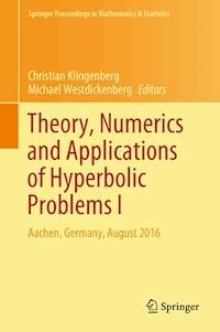Theory, Numerics and Applications of Hyperbolic Problems I -  - E-Book
