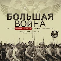 Большая война - Fedor Sologub - Hörbuch