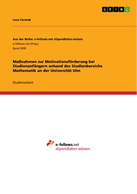 Maßnahmen zur Motivationsförderung bei Studienanfängern anhand des Studienbereichs Mathematik an der Universität Ulm - Luca Cermak - E-Book