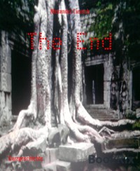 The End - Alexander Liersch - E-Book