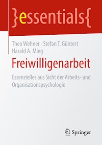 Freiwilligenarbeit - Theo Wehner - E-Book