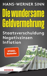 Die wundersame Geldvermehrung - Hans-Werner Sinn - E-Book
