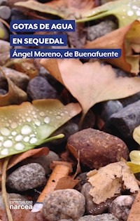 Gotas de agua en sequedal - Ángel Moreno de Buenafuente - E-Book
