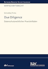 Due Diligence - Maximilian Schnebbe - E-Book