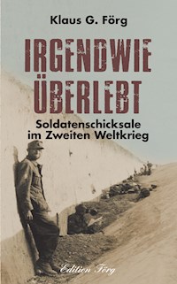 Irgendwie überlebt - Klaus G. Förg - E-Book