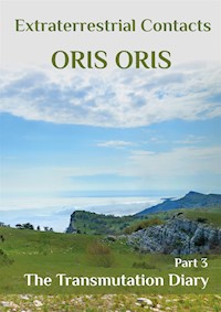 Book 12. «The Transmutation Diary». Part 3 - oris oris - E-Book