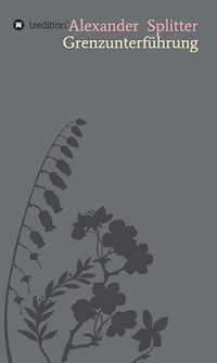Grenzunterführung - Alexander Splitter - E-Book