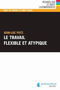 Le travail flexible et atypique - Jean-Luc Putz - E-Book